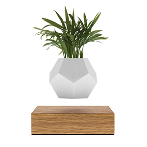 Idée cadeaux fête des mères Lyfe Planter la Plante en lévitation